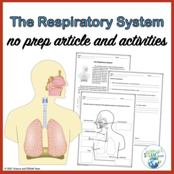 Preview of The Respiratory System Nonfiction Article and Activities