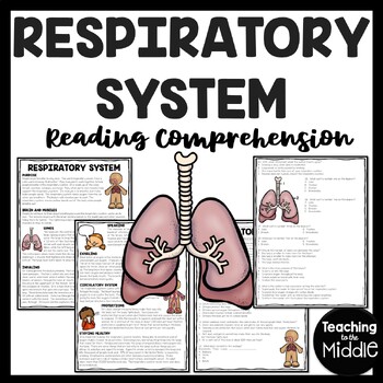 Preview of The Respiratory System Informational Text Reading Comprehension Worksheet