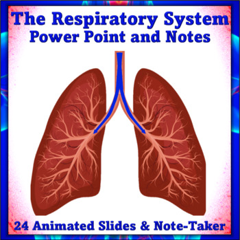 Preview of The Respiratory System Power Point and Notes