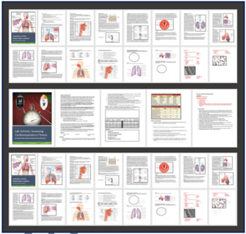Preview of The Respiratory System Three Worksheet/Lab Activity Set