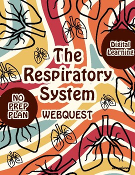 Preview of The Respiratory System Webquest: NO PREP PLAN