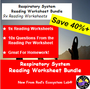 Preview of The Respiratory System in Health Lesson Reading Worksheet Bundle **Editable**