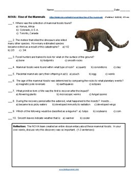 The Rise Of Mammals Video Worksheet By Biologycorner Tpt