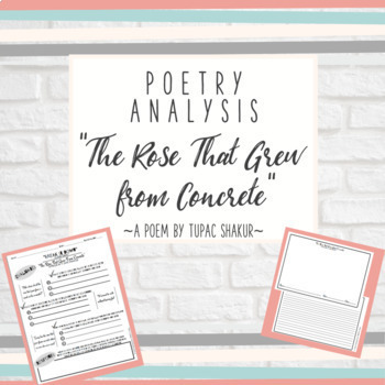 Preview of The Rose That Grew From Concrete: Poetry Analysis