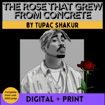 Preview of The Rose that Grew From Concrete by Tupac Shakur Poet and Poetry Study