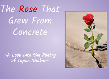 Preview of The Rose that Grew from Concrete by Tupac Shakur (ESL Suitable!)