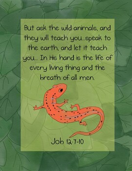 The Salamander Room Bible Verse Printable (Job 12:7-10)