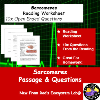 Preview of The Sarcomere of a Muscle Reading Worksheet **Editable**