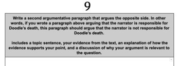 the scarlet ibis essay prompts