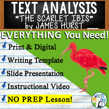 essay prompts for the scarlet ibis