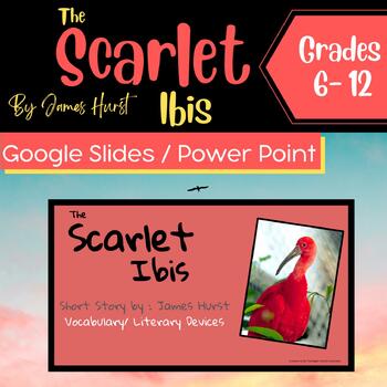 Preview of The Scarlet Ibis Google Slides