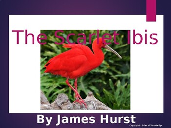 Preview of The Scarlet Ibis - Plot Diagram Worksheet