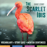 The Scarlet Ibis Activities, Mentor Sentences, Presentatio
