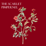The Scarlet Pimpernel, literature guide