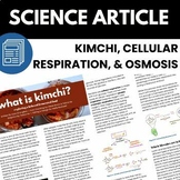 The Science Behind Kimchi: Fermentation and Microbes | Lev