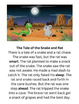 Preview of The Science of Reading Decodable Books: Silent E Rule (Magic E)