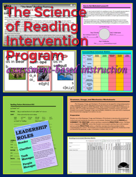 Preview of The Science of Reading Intervention Program: Assessment-based Instruction