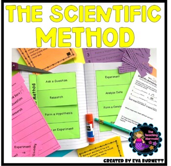 Preview of Scientific Method Activities and Interactive Notebook Differentiated Assessments