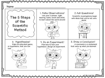 The Scientific Method - Owl Scientists by Science for Kids by Sue Cahalane