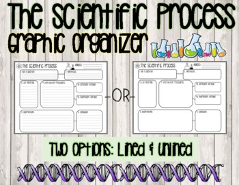 Preview of The Scientific Process | Scientific Method | Graphic Organizer