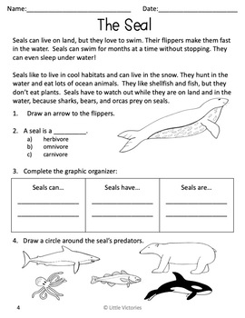 The Seal: Differentiated Food Chain Vocabulary and Reading Comprehension