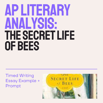 essay prompts for secret life of bees