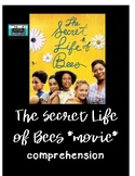 The Secret Life of Bees Comprehension Questions