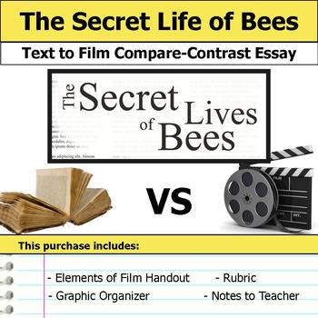secret life of bees essay titles
