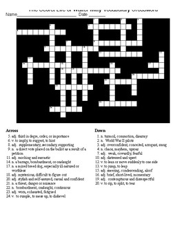 The Secret Life of Walter Mitty Vocab Crossword Word Search KEYs