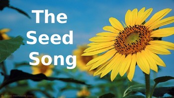 Preview of The Seed Song PPT