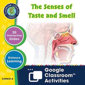 Preview of The Senses of Taste and Smell - Google Slides Gr. 5-8