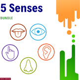 Sensational Senses Bingo: Explore the Wonders of the 5 Senses! | TPT