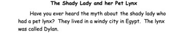 Preview of The Shady Lady and her Pet Lynx: Decodable Text for Vowel Y