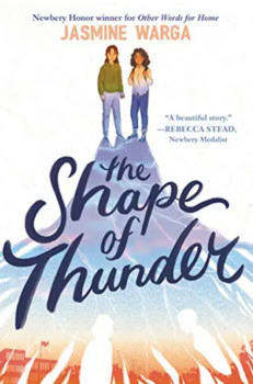Preview of The Shape of Thunder Novel Study