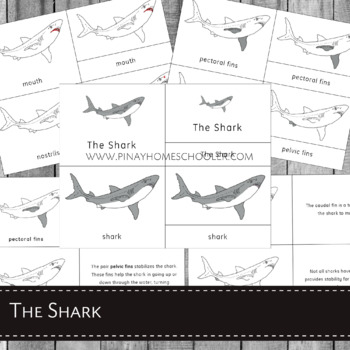 The Shark Learning Pack