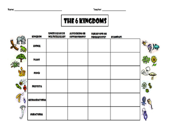 6 Kingdoms Of Living Things Chart