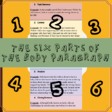 The Six Parts of the Body Paragraph Color Activity