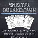 The Skeletal Breakdown