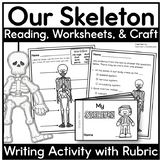 The Skeletal System Nonfiction Reading