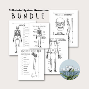 Preview of The Skeletal System Activities Bundle