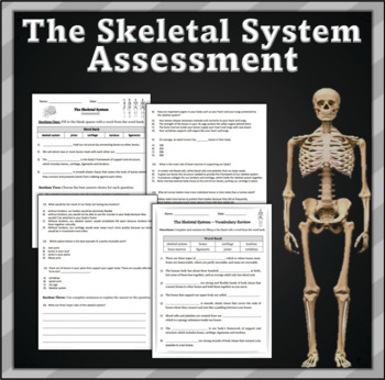Preview of The Skeletal System: Assessment and Review Page