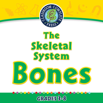 Preview of The Skeletal System - Bones - NOTEBOOK Gr. 3-8