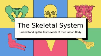 Preview of The Skeletal System Education Presentation