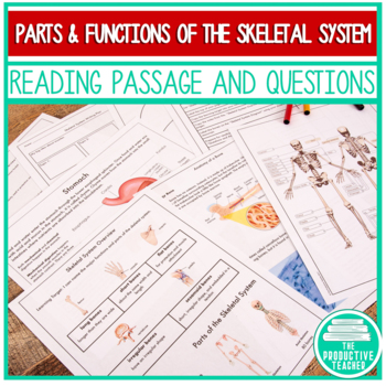 Preview of Parts and Functions of the Skeletal System