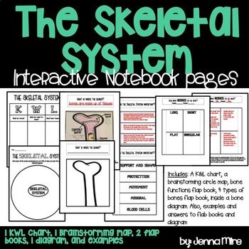 Preview of The Skeletal System Interactive Notebook Pages