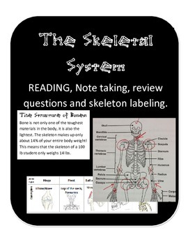 Preview of The Skeletal System: Joint & Skeleton function, nonfiction interactive reading,