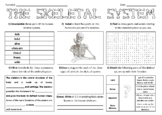 The Skeletal System - Large Activity Sheet
