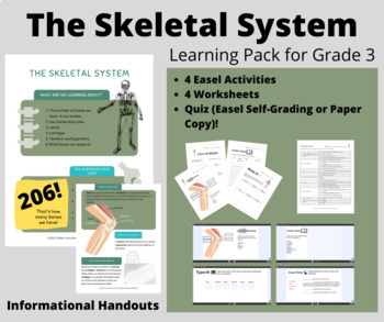 Preview of The Skeletal System Learning Pack (for Grade 3)