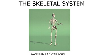 Preview of The Skeletal System Lesson