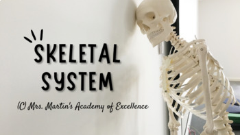 Preview of The Skeletal System (Presentation)